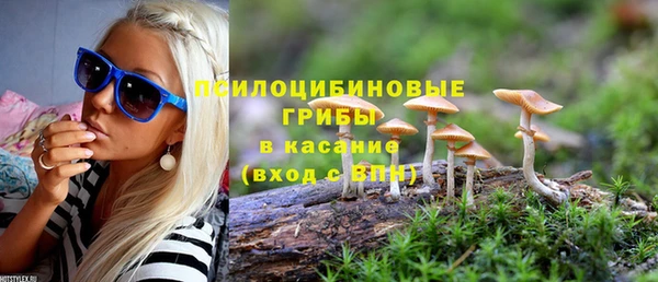 амф Покров