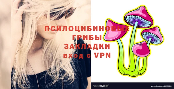 дурь Алексин